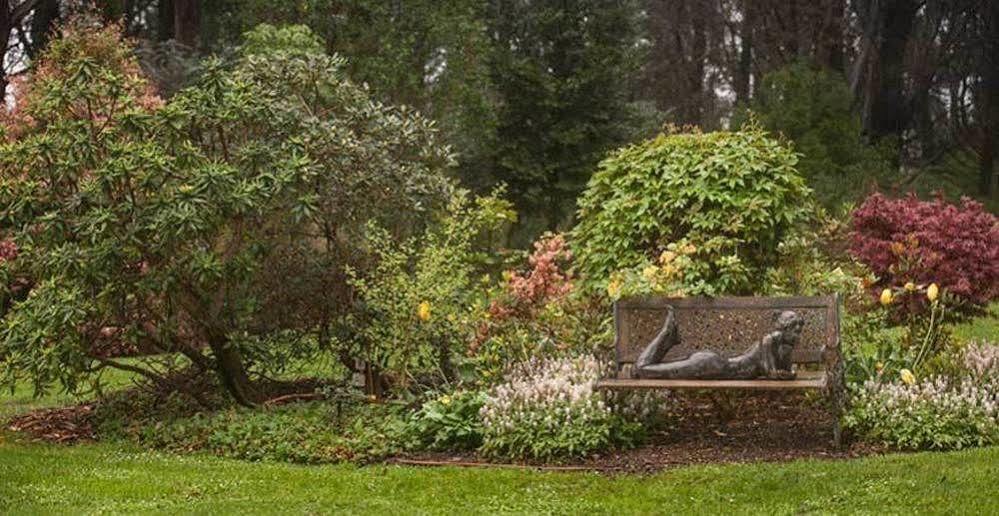 Affittacamere Beechmont Garden Retreat Olinda Esterno foto