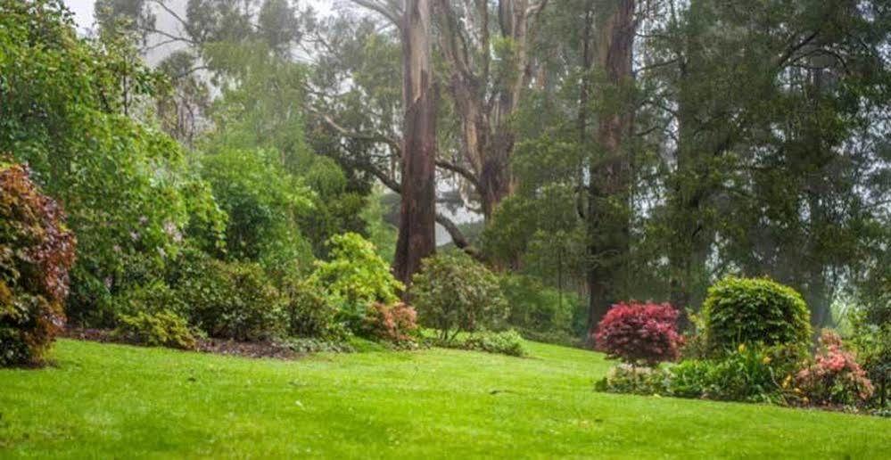 Affittacamere Beechmont Garden Retreat Olinda Esterno foto