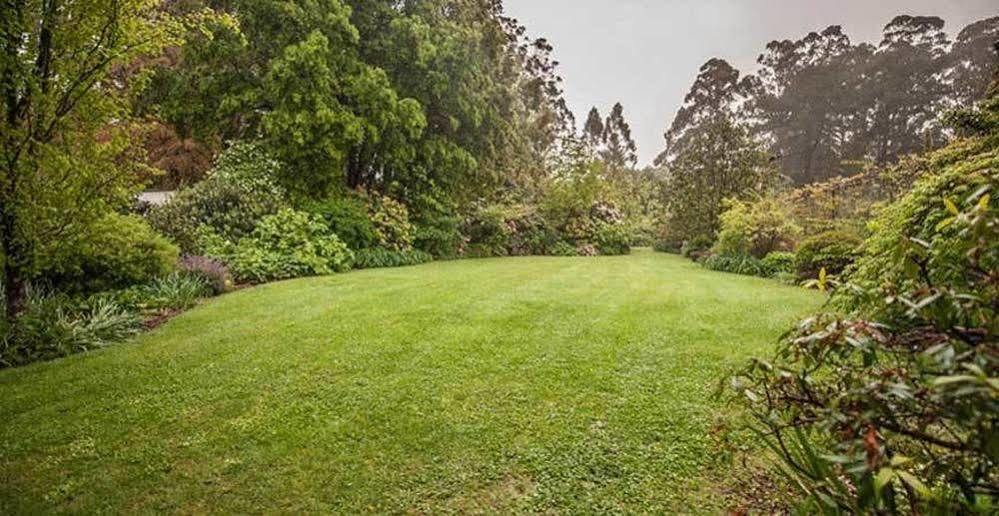 Affittacamere Beechmont Garden Retreat Olinda Esterno foto