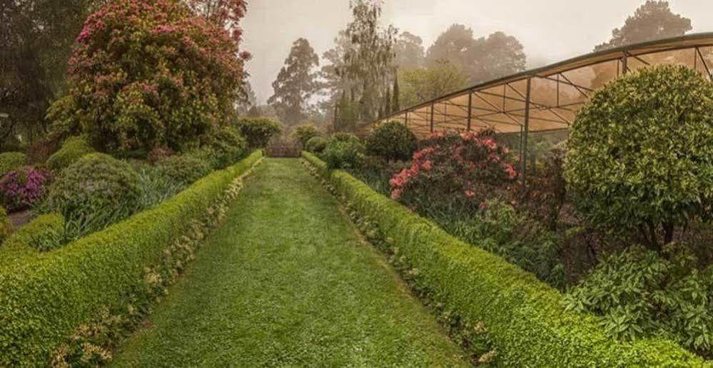 Affittacamere Beechmont Garden Retreat Olinda Esterno foto