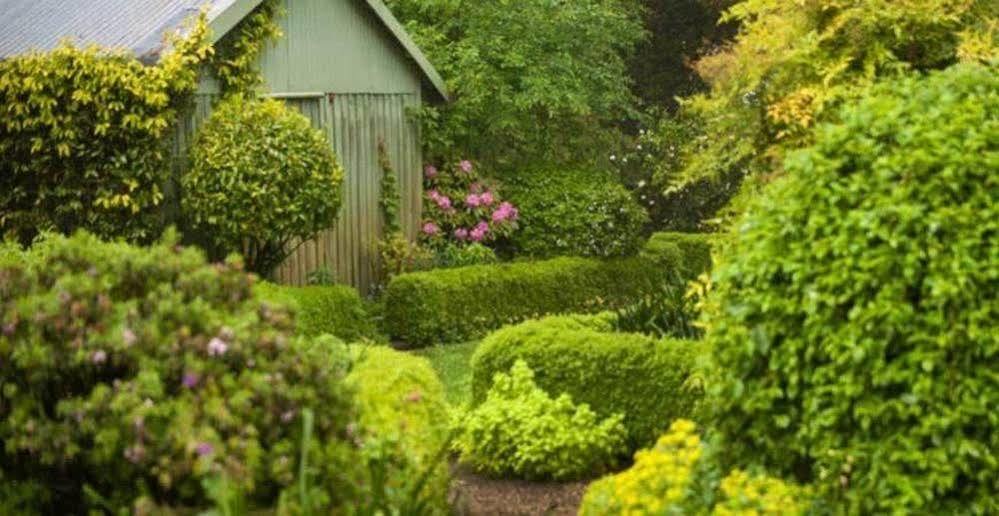 Affittacamere Beechmont Garden Retreat Olinda Esterno foto
