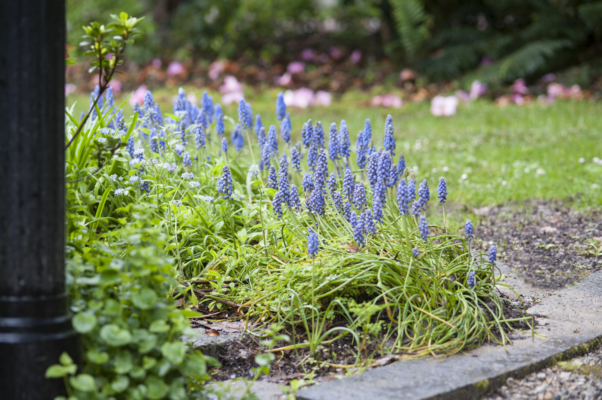 Affittacamere Beechmont Garden Retreat Olinda Esterno foto